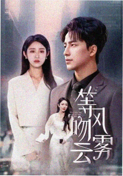 成年电影 冬泳的人 家庭剧情片海报